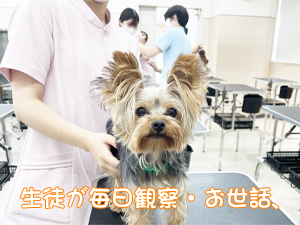 血液検査と健康チェック！